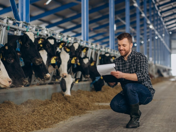 Marcação e identificação animal: Utilize Bastões Marcadores Eficientes