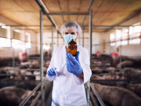 Desinfecção na agropecuária: Como escolher o Desinfetante Veterinário certo?